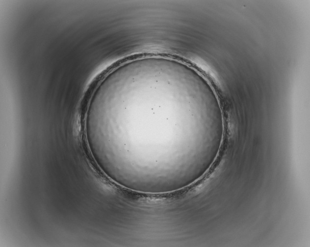 X0000111881070200907301132