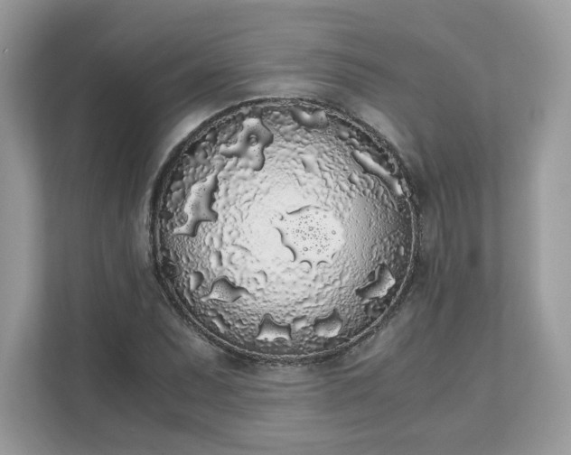 X0000111881071200907301132