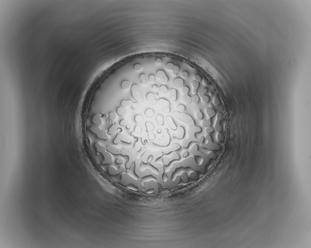 X0000111881072200907301132