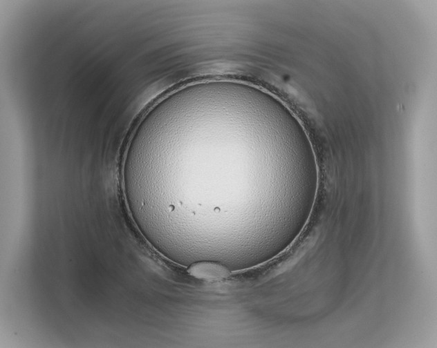 X0000111881073200907301132