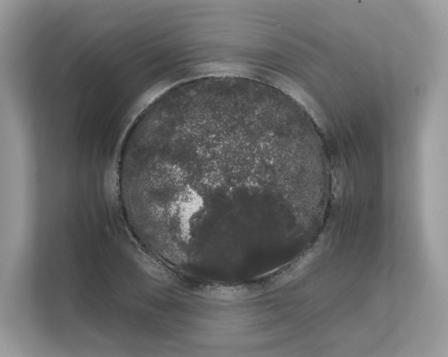 X0000111881074200907301132