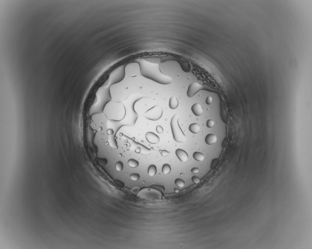 X0000111881076200907301132