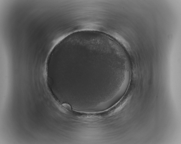 X0000111881077200907301132