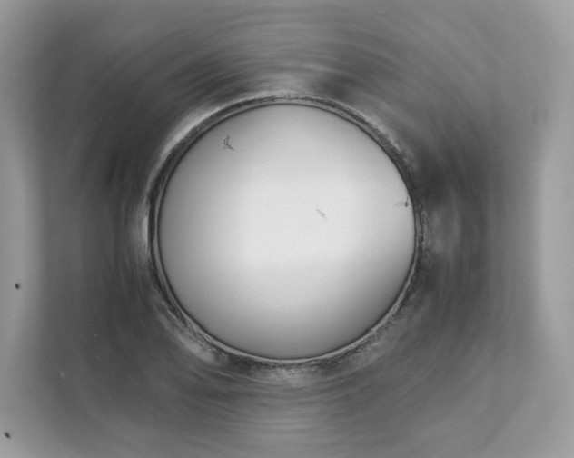 X0000111881078200907301132