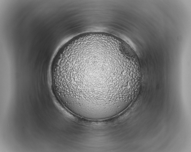 X0000111881080200907301132