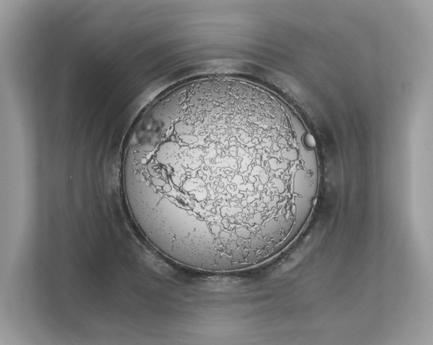 X0000111881081200907301132