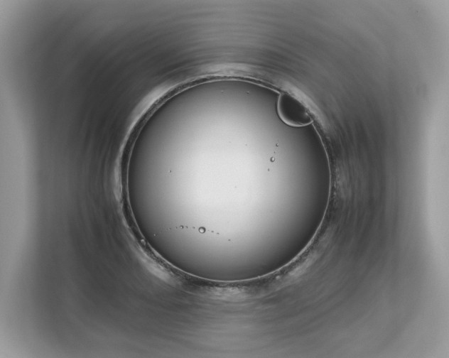 X0000111881082200907301132