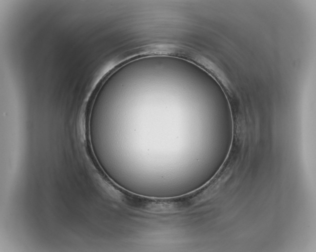 X0000111881083200907301132