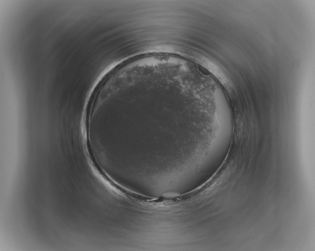 X0000111881084200907301132