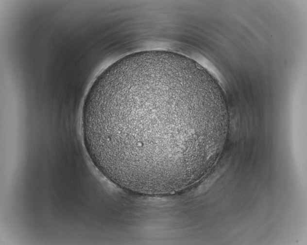 X0000111881088200907301132