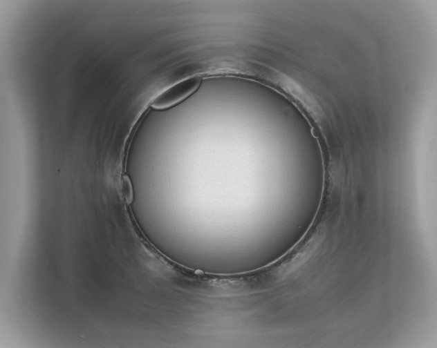 X0000111881089200907301132