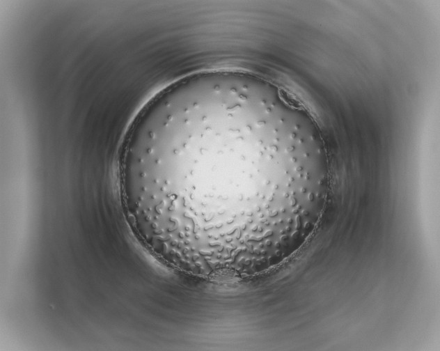 X0000111881092200907301132