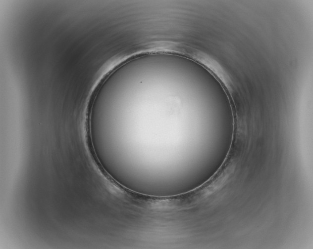 X0000111881093200907301132