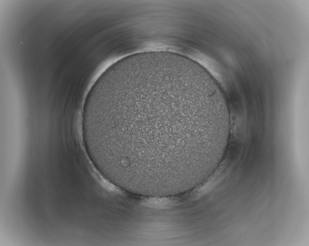 X0000111881094200907301132