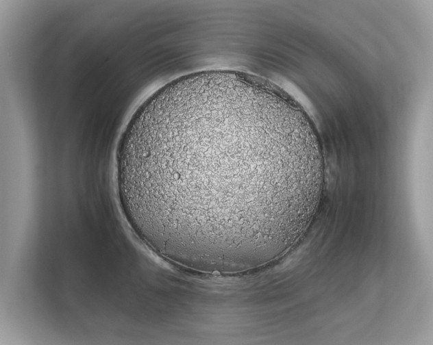 X0000111881096200907301132