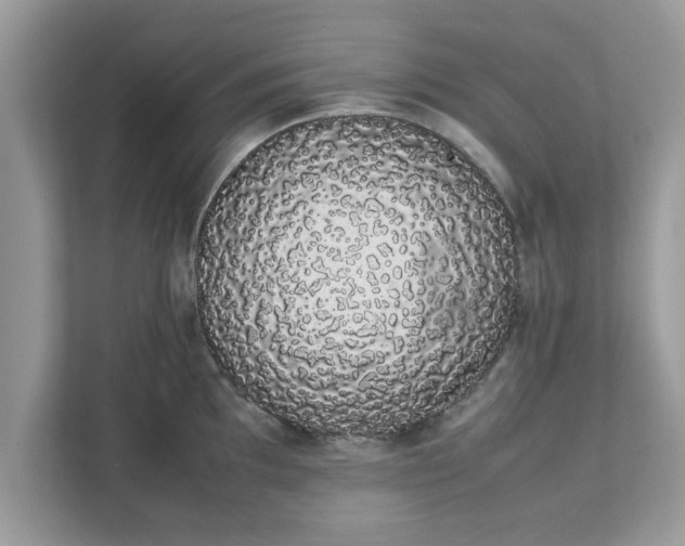 X0000111881097200907301132