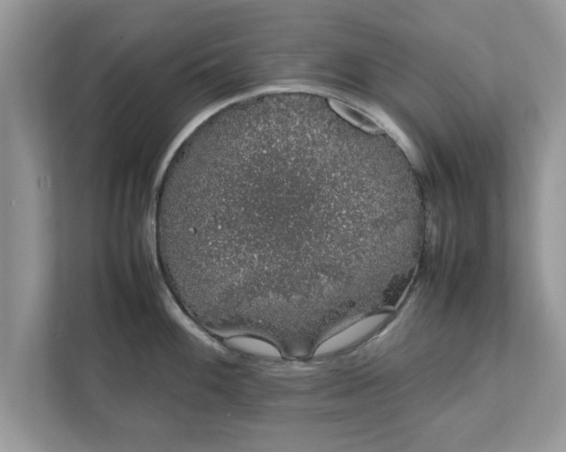 X0000111881100200907301132