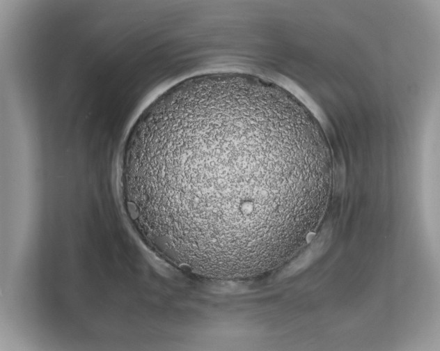 X0000111881101200907301132