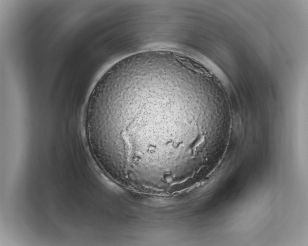X0000111881102200907301132