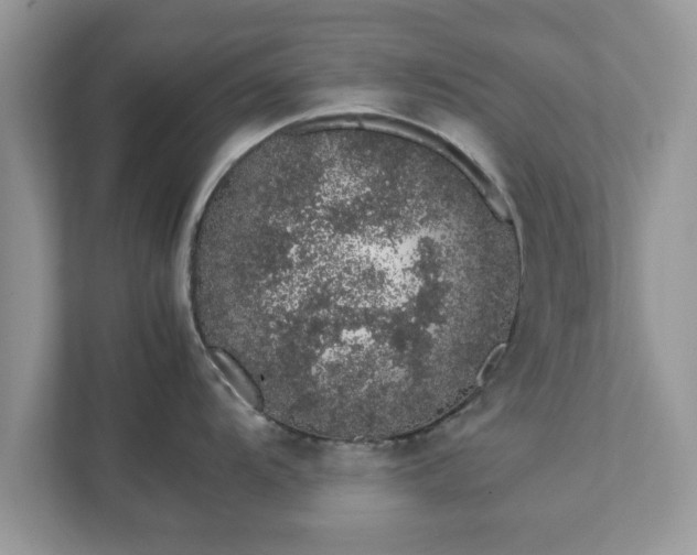 X0000111881104200907301132