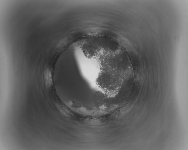 X0000111881106200907301131
