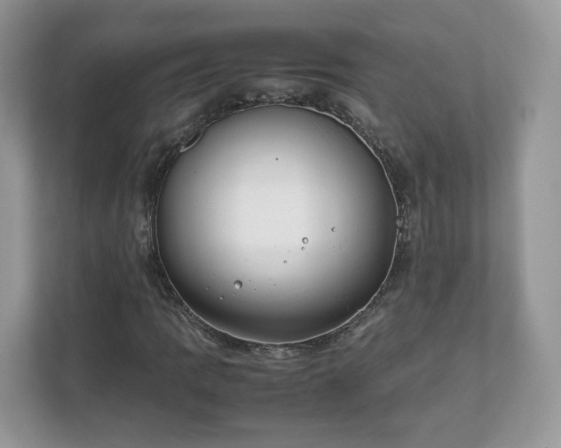 X0000111881109200907301131