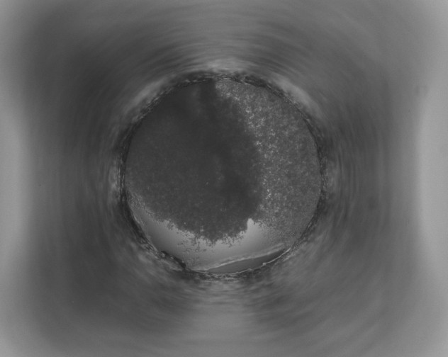 X0000111881110200907301131