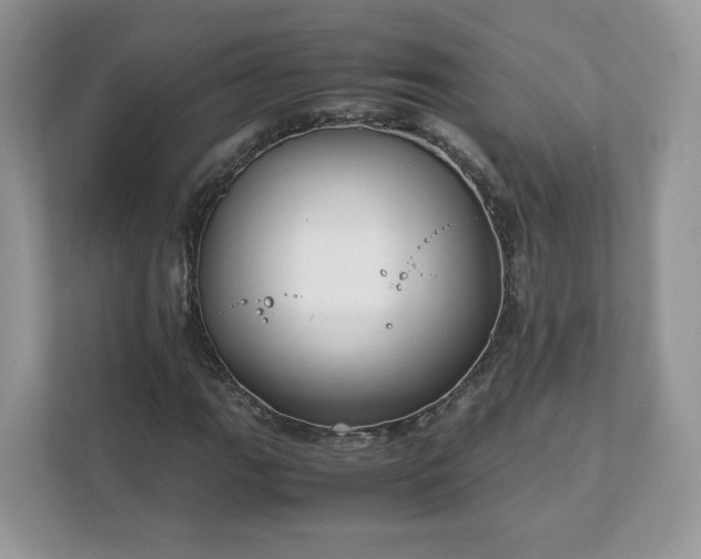 X0000111881111200907301131