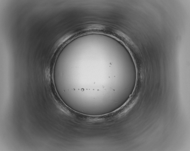 X0000111881113200907301131