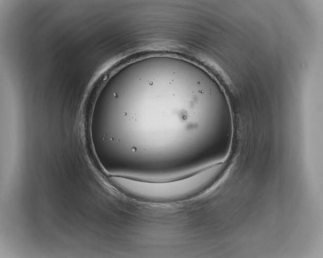 X0000111881114200907301131