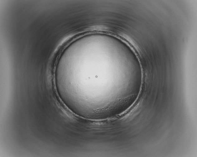 X0000111881115200907301131