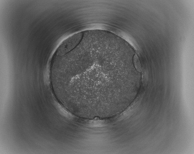 X0000111881116200907301131