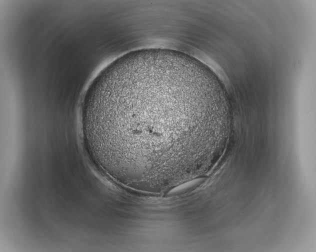 X0000111881120200907301131