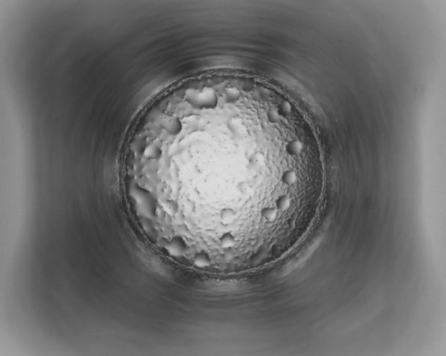 X0000111881121200907301131