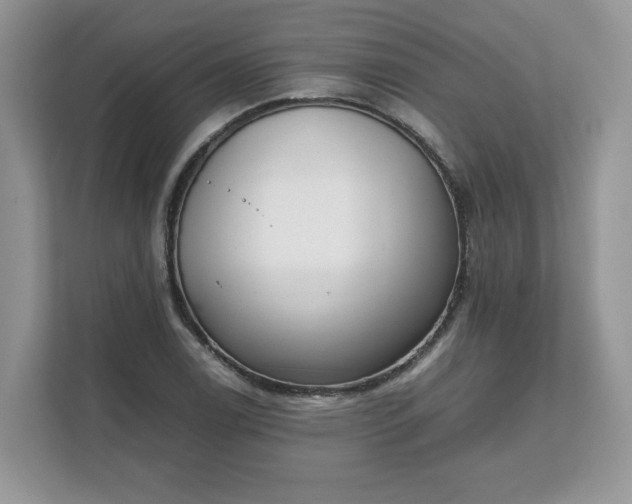 X0000111881122200907301131