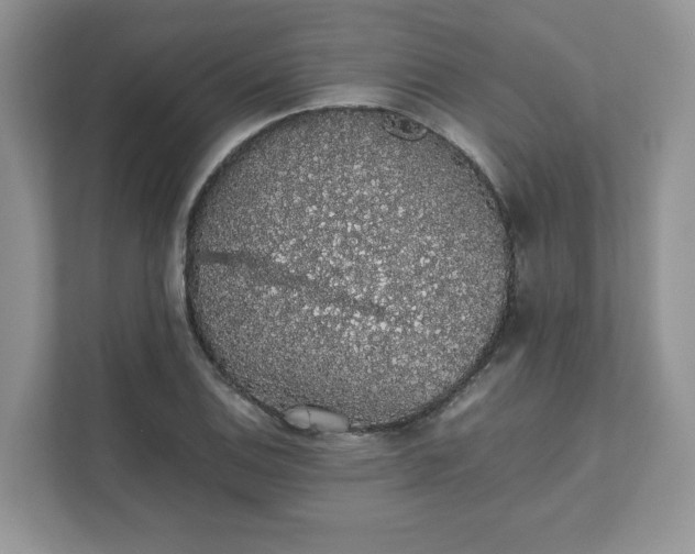 X0000111881124200907301132