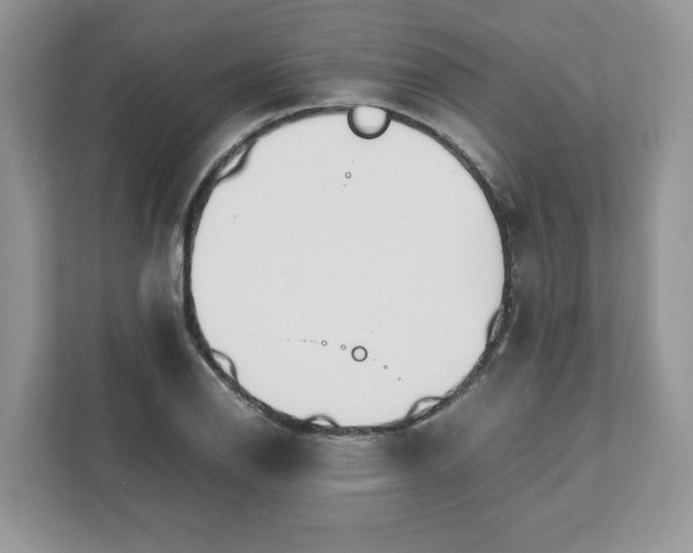 X0000111881126200907301132