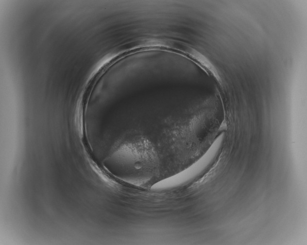 X0000111881127200907301132