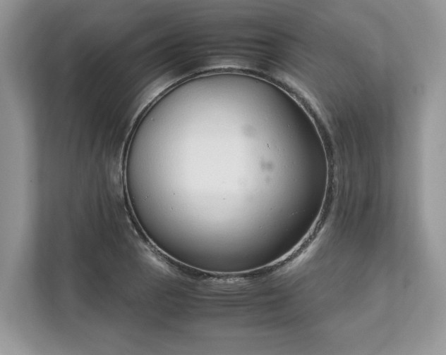 X0000111881129200907301132