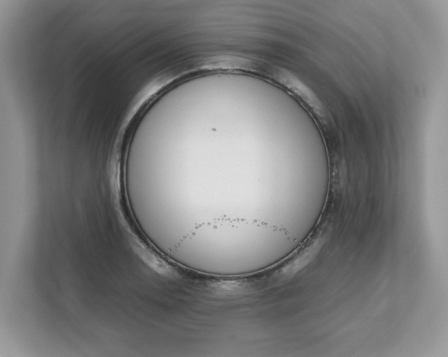 X0000111881130200907301132