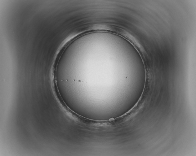X0000111881133200907301132