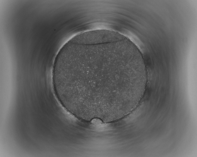 X0000111881134200907301132