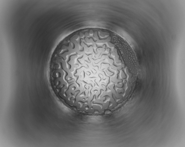 X0000111881136200907301132