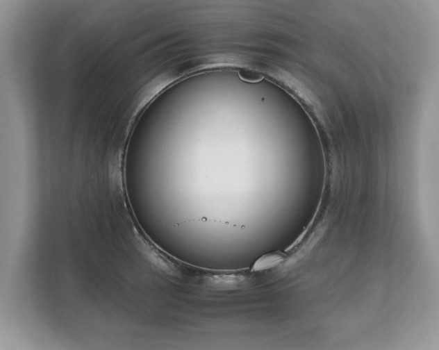 X0000111881137200907301132