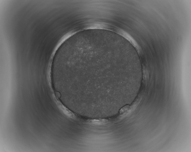 X0000111881138200907301132