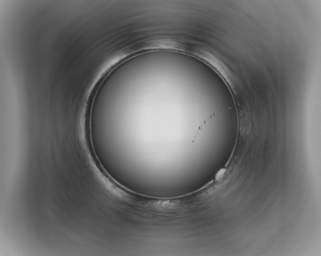 X0000111881139200907301132
