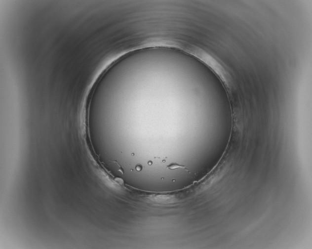X0000111881140200907301132
