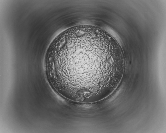 X0000111881141200907301132