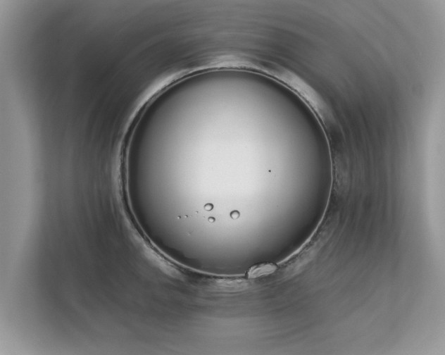 X0000111881142200907301132