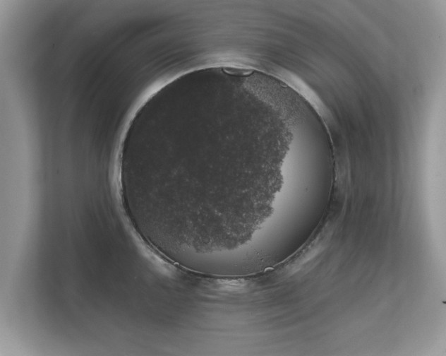 X0000111881144200907301132